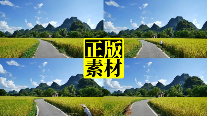 广西农村 田间小路 乡间小路 稻田