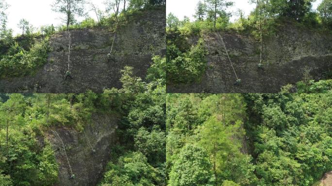 乡村 采摘铁皮石斛 山 铁皮石斛 农田