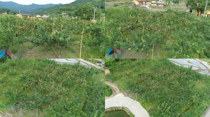 乡村 乡村航拍 山 山峰 山村道路 农田