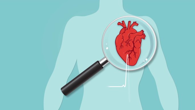 心脏检查人体内脏人体心脏医学检查