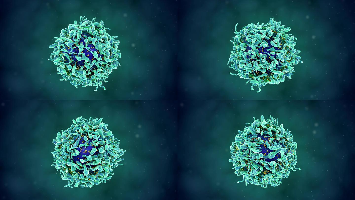 单T细胞医疗循环化学DNA病毒