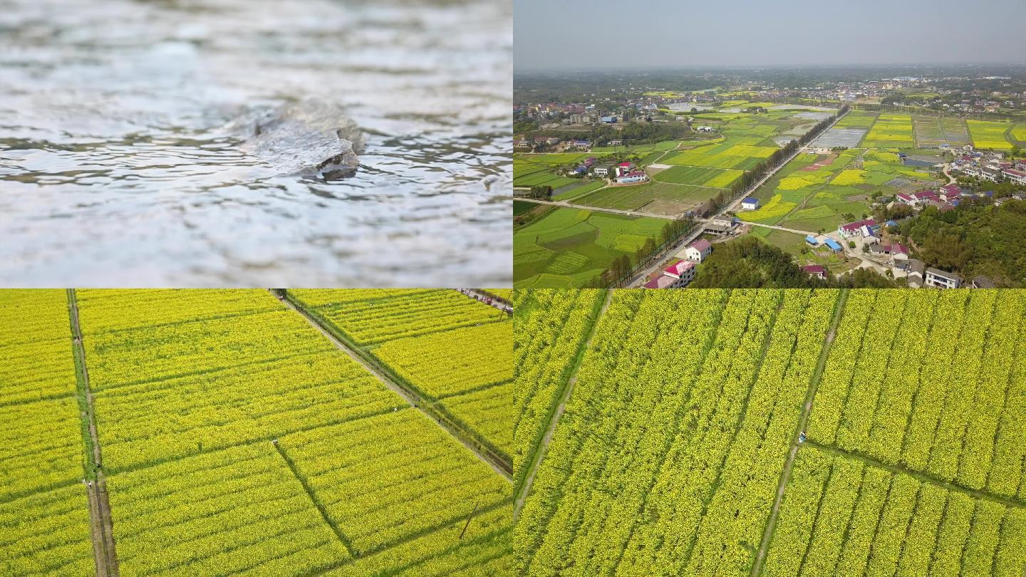 美丽乡村 小桥流水 渔船 油菜花