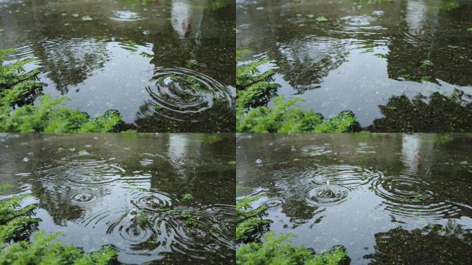 雨点涟漪