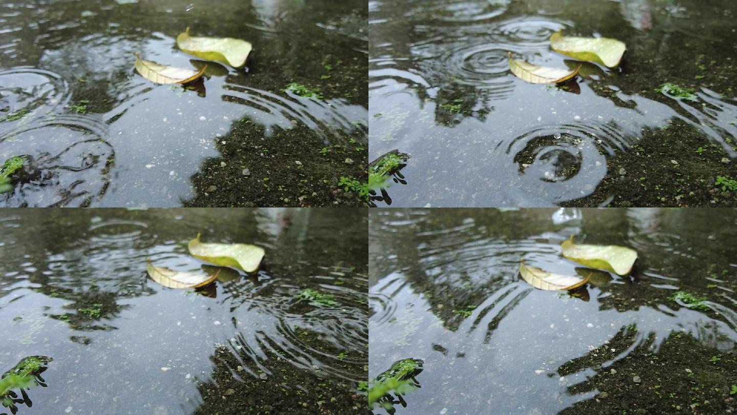 下雨积水 雨点涟漪