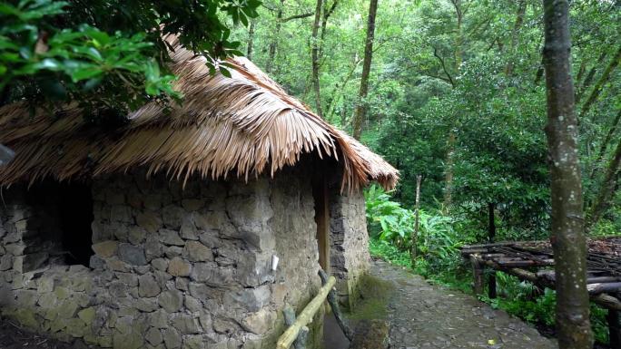 竹林里的茅草房雨景