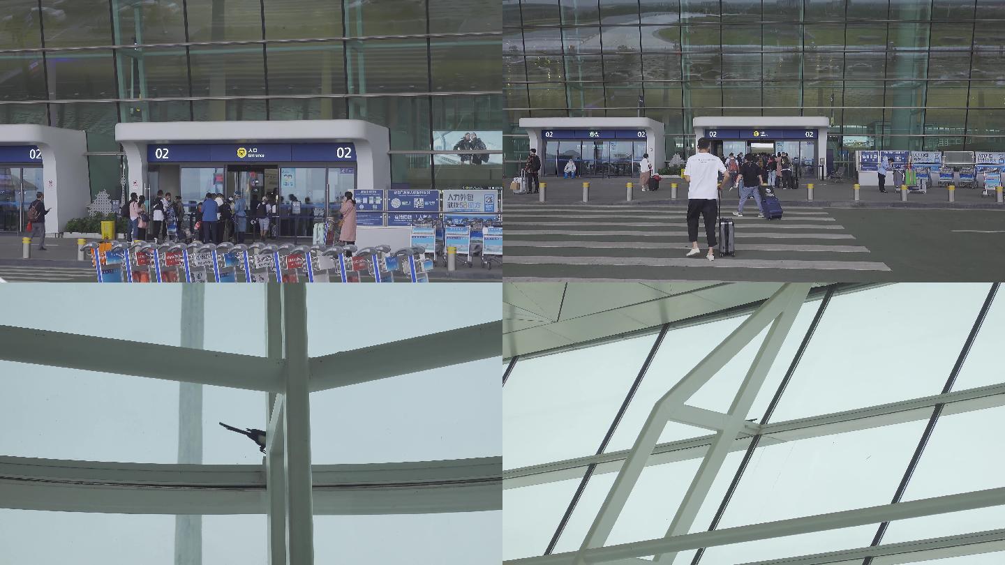 武汉机场和机场内的鸟4k25帧