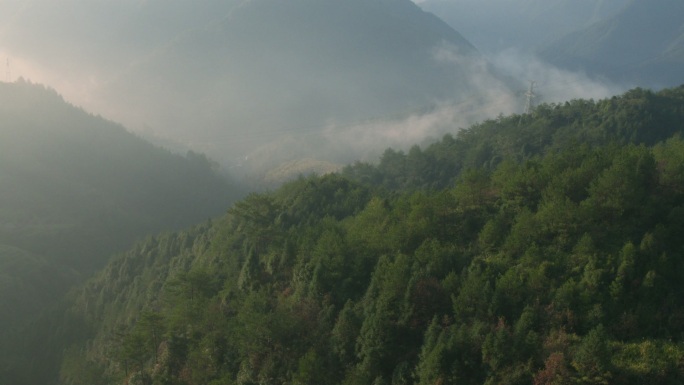 浙江丽水庆元航拍青山高山水汽氤氲