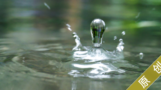 下雨天 雨滴水滴 森林绿色植物 水珠落下