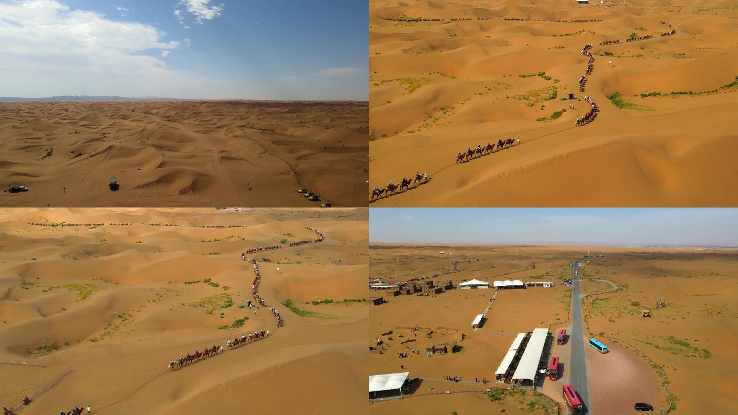 一带一路沙漠中的骆驼 骆驼队