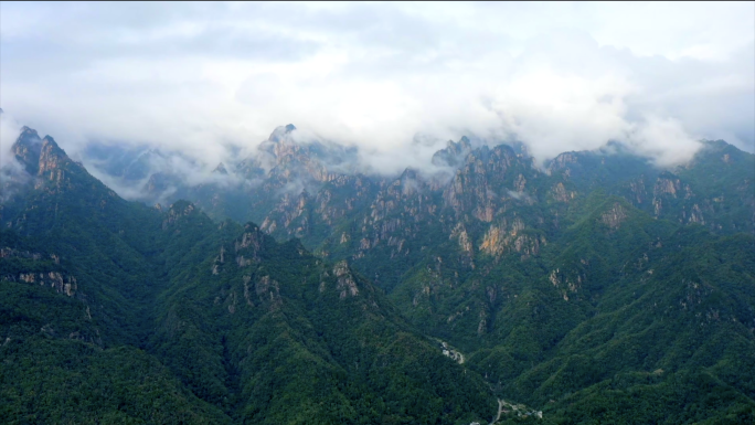 伏牛山脉山系山麓老界岭生态环境植物