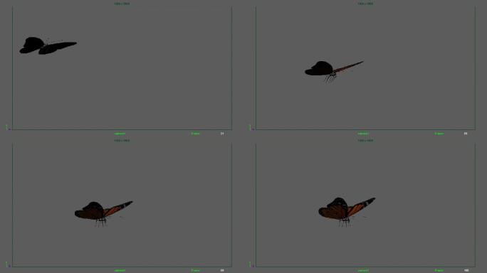 maya蝴蝶模型绑定贴图材质动画