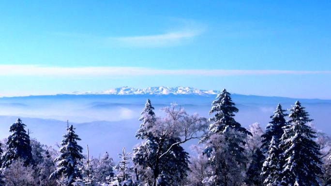 远眺长白山