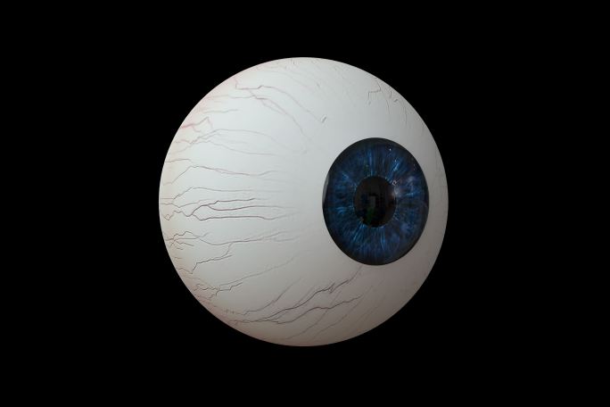 眼球晶状体 瞳孔