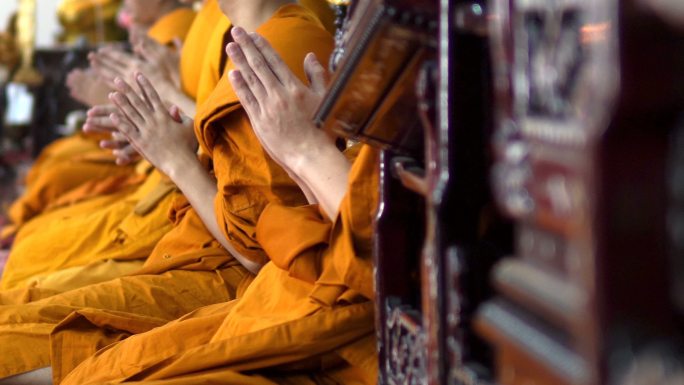 许多僧侣并排坐在一起诵经