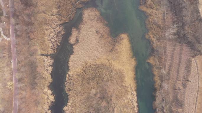 冬天淇河湿地公园枯树空境航拍近景