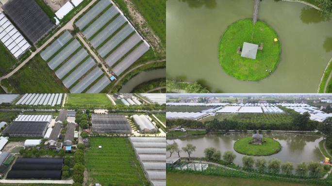 上海农家风光航拍 城市风景