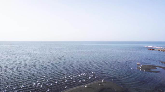 博斯腾湖新疆库尔勒湖泊4K