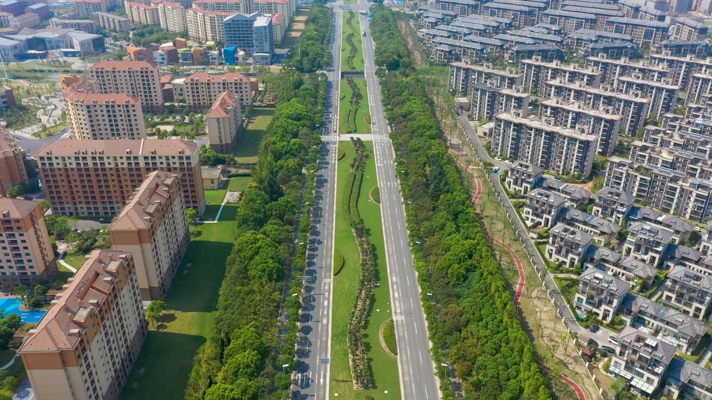 上海海洋中心气象 临港