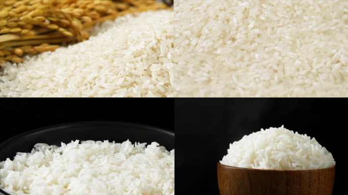 五常大米水稻宣传片4K