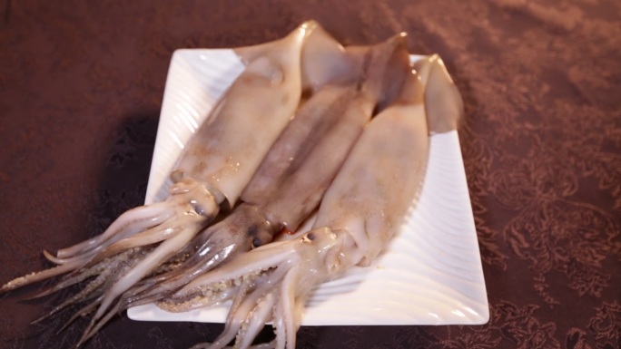 鱿鱼乌贼海鲜食材 (2)