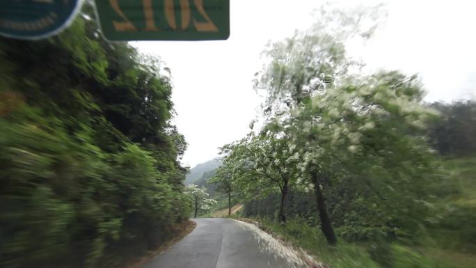 山路山路 崎岖道路 泥泞的路 乡村公路