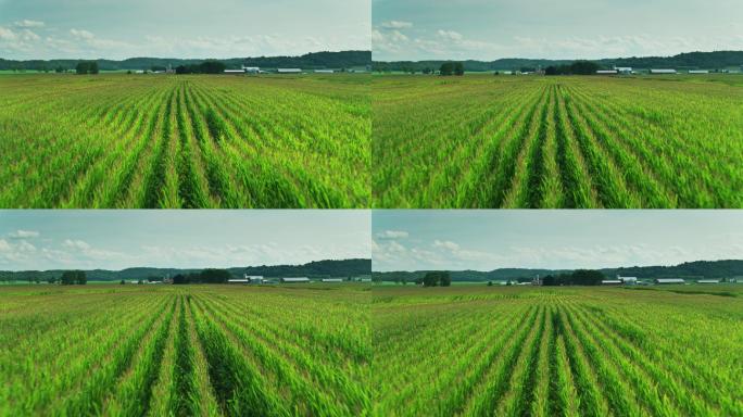 航拍威斯康星州的农场