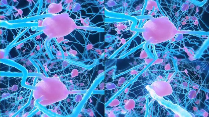 神经元 细胞 生物基因 医疗 生命科学