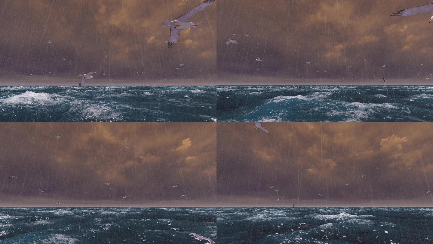 4K 狂风暴雨海面海鸥