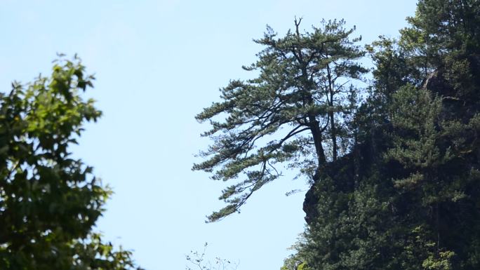 重庆城口县河鱼乡青草坪风光