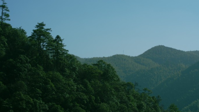 浙江丽水庆元航拍青山山川绿树