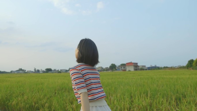 稻田里奔跑享受生活的女孩