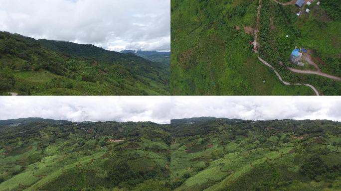 西双版纳勐远千年章朗古寨茶山航拍4K