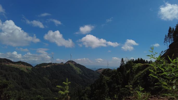 风和日丽唯美自然