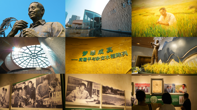 长沙袁隆平水稻博物馆