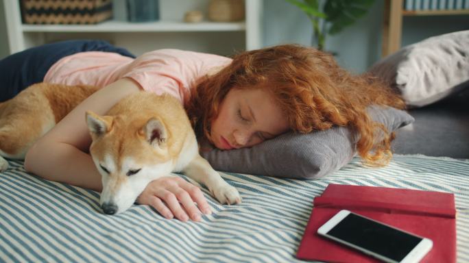 美丽少女在睡梦中拥抱着可爱的什叶犬