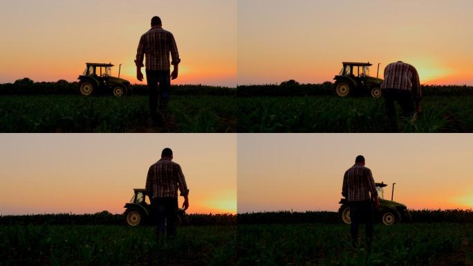 日落时农民在田野上观察植物的剪影