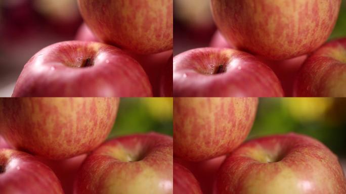 水果苹果红富士 (1)