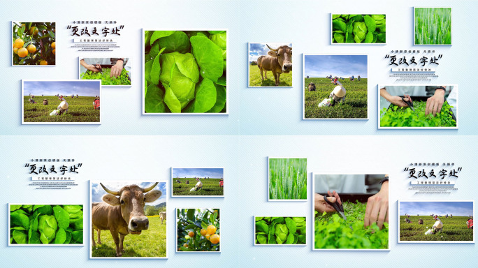 119图绿色农业多照片展示AE模板