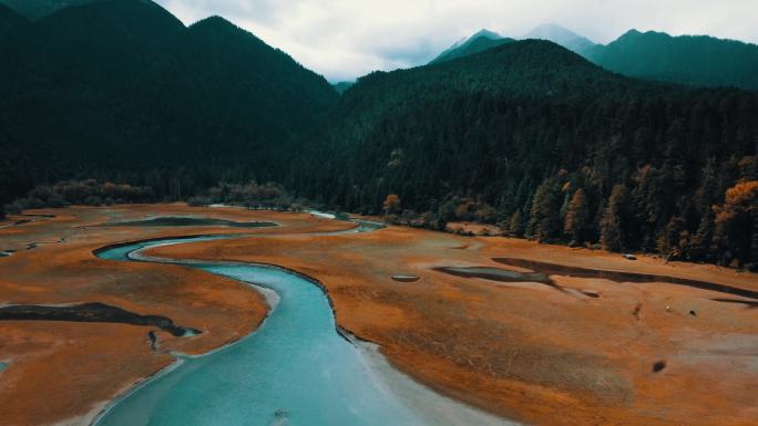 森林河流雪山湖泊岗云杉林秋景落叶秋色