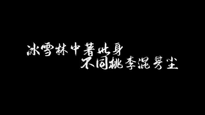 白梅文字动画字幕特效（含字体）