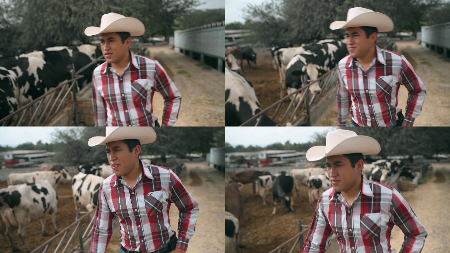 墨西哥农民喂牛农业农民蓝领工人