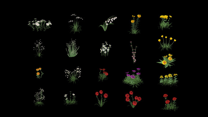 21款动态花【模型】