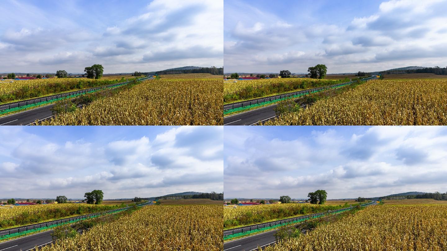 乡村风光 农业 高速公路 稻田 玉米地