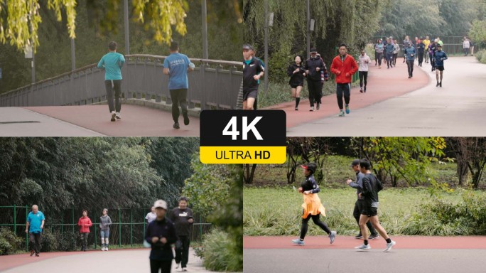 4K公园锻炼跑步晨跑