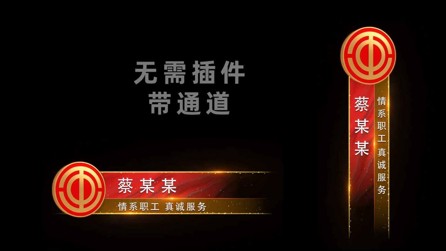 【2款】党政工会人名字幕条ae模板
