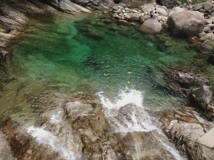 流水 山泉 溪流  蝴蝶 视频素材