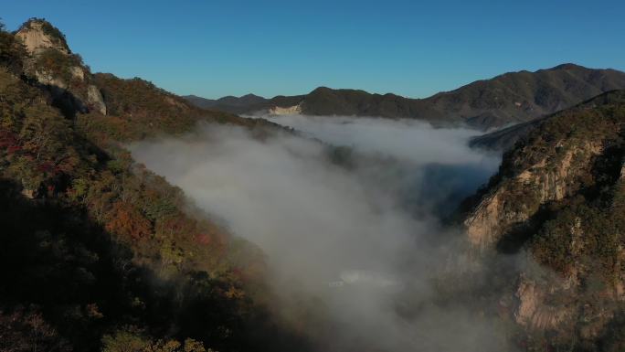 最美金秋山区