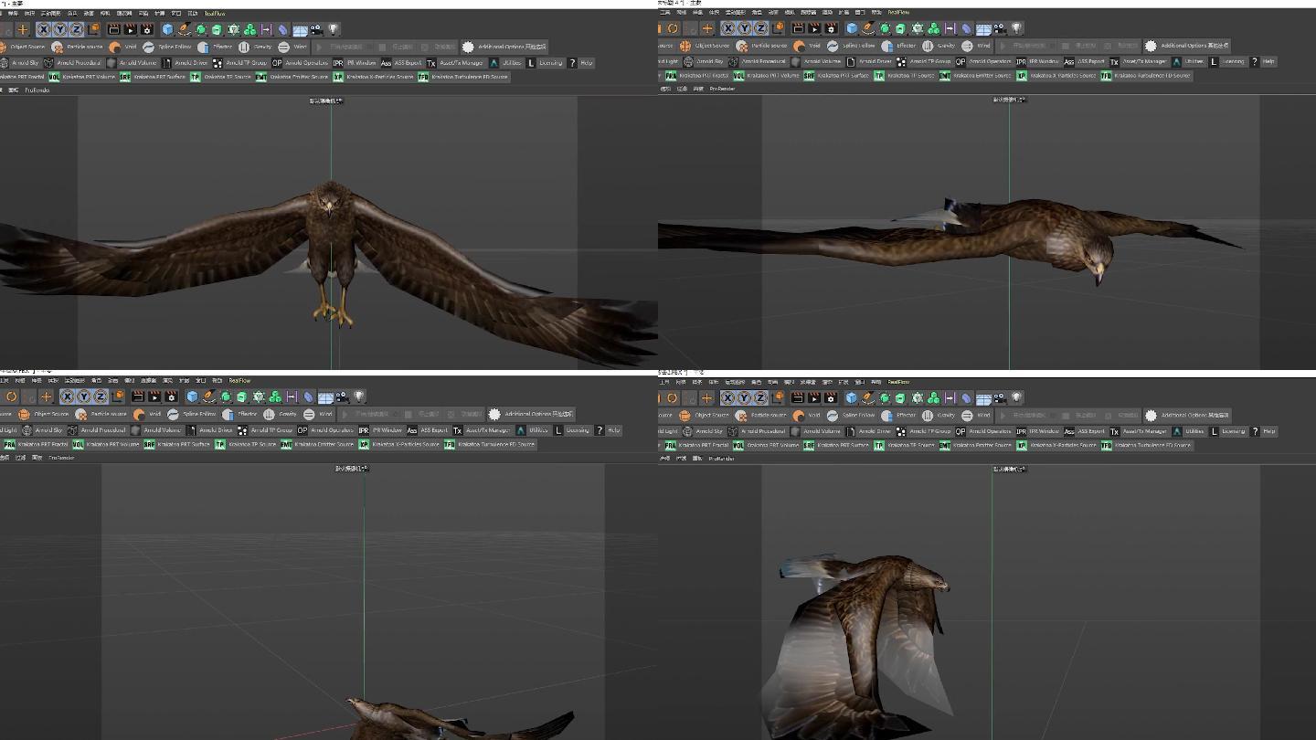 C4D雄鹰模型动作全套工程