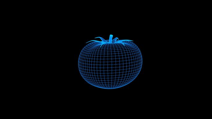 蓝色线框全息科技西红柿动画视频素材带通道