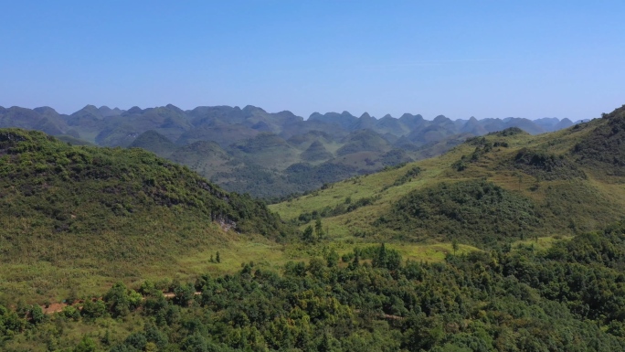 【可商用】清远阳山东山森林山区树木林业